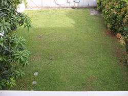Lorong Penchalak (D19), Semi-Detached #125357402